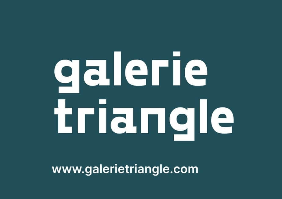 En attente de l’image du produit