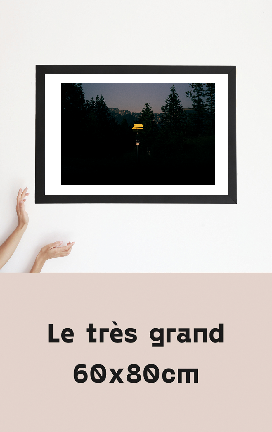 le trés grand tobias- panneau