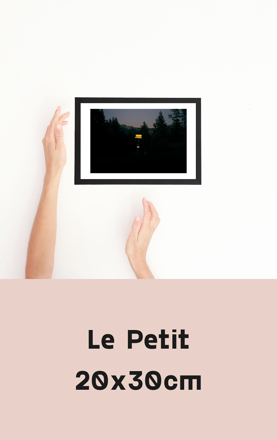 petit tobias- panneau